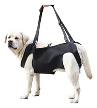 Comprar Arnés De Elevación Perros Soporte Cuerpo Completo T. M Al Xl