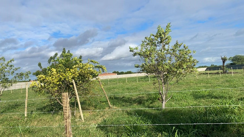 Chácara Com Casa Em Juazeiro - Ba