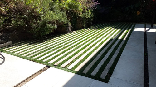 Pasto En Rollo Natural Fistuca 150x45cm Colocación Solo Cdmx