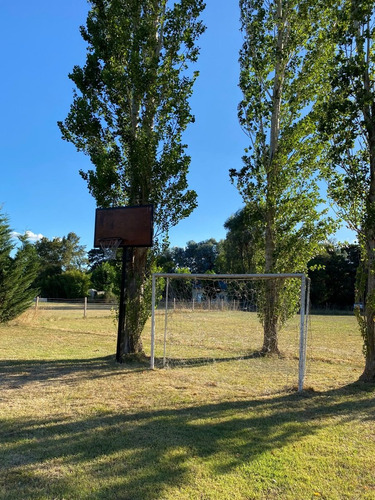 Imagen 8 de 14 de Alquiler De Casa Quinta En Merlo