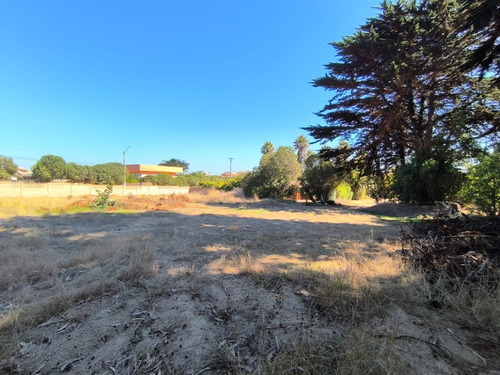 Excelente Sitio En Punta De Tralca
