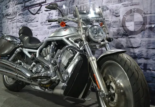 Harley davidson cheap v rod chopper