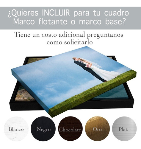 Colibrí Tipo Óleo 120x120 Con Marco Cuadro Canvas Bastidor