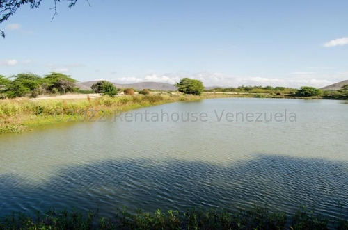 Imagen 18 de 30 de Fina En Venta Quibor Estado Lara, 04245937542