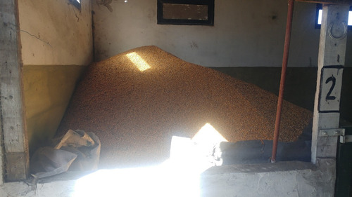 Imagen 10 de 14 de Campo Mixto, Ideal Haras Ptdo Punta Indio