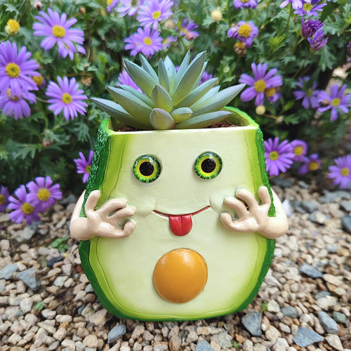 Maceta De Flores De Aguacate, Planta De Decoración De
