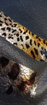 Comprar Adhesivo Foil Con 5 Laminas Foil Liso 1 Animalprint Cuerina 