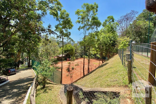 Imagem 14 de 15 de Casa Em Condomínio À Venda No Vila Alpina - Código 271682 - 271682