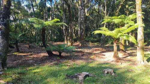 Terreno À Venda, 1110 M² Por R$ 450.000,00 - O Bosque - Gramado/rs - Te0716