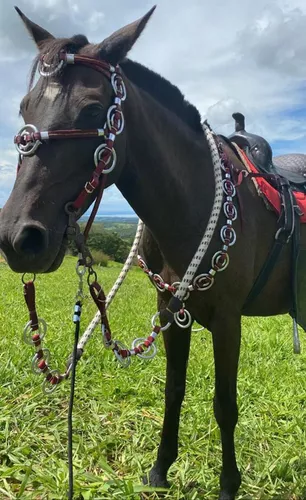 Cabeçada Traia De Frente De Cordinha Para Cavalos Regulável