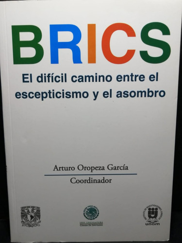 Brics Arturo Oropeza García