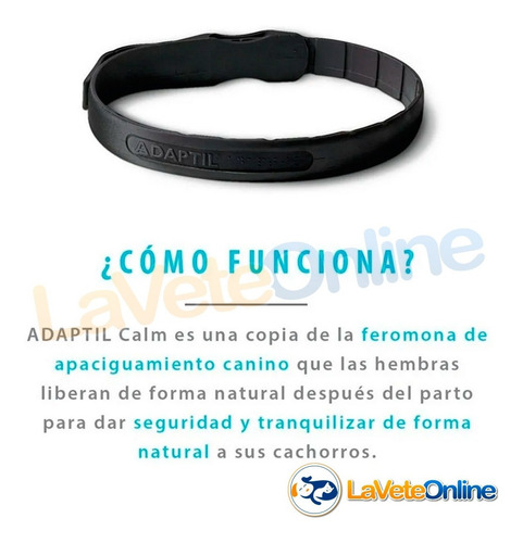 Imagen 3 de 10 de Adaptil Collar Feromona Perros Grandes Ansiedad Anti Stress
