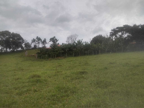 Imagem 11 de 14 de Chácara Das Águas