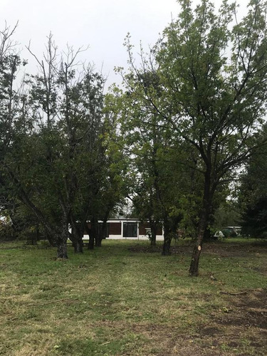 Imagen 24 de 30 de Terreno - Ibarlucea