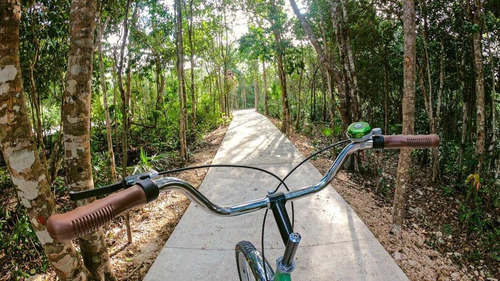 Imagen 13 de 17 de En Venta Terreno Escriturado En Senderos De Mayakoba, Playa Del Carmen C2807