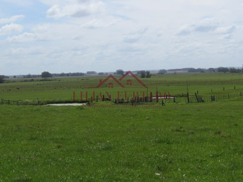 En La Zona De Mayor Expansión, 87 Hectáreas Para Producción O Desarrollos- Ref: 1035