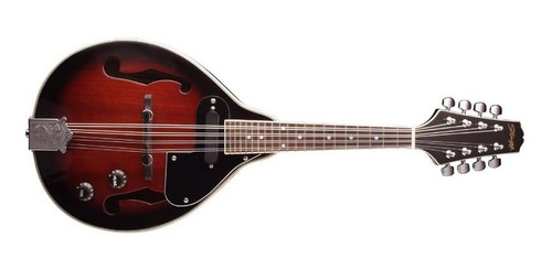 Mandolina Stagg M50e Sunburst Envio 