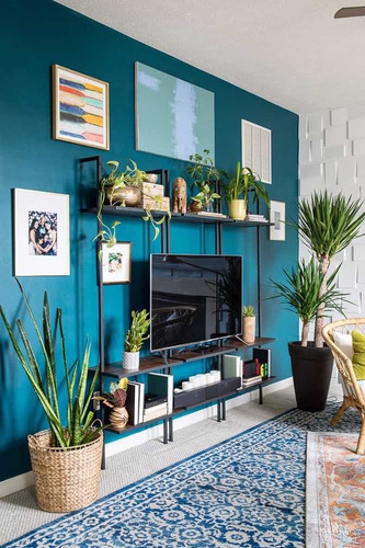 Imagen 7 de 10 de Pintor De Casas Y Apartamentos Yeso Enduido Reformas