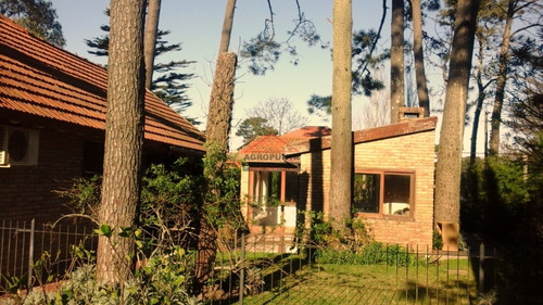 Excelente Casa En Venta En Playa Mansa, Punta Del Este- Ref: 5514