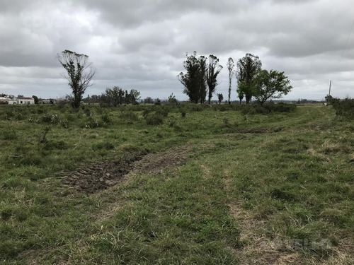 Campo - Manantiales