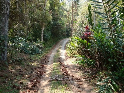 Imagem 14 de 18 de Sitio 21.000 M2 Em Cidade Turistica J.04