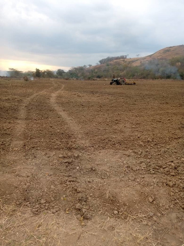 Imagen 17 de 28 de Finca En Venta En El Estado Guarico