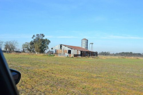Imagen 2 de 13 de Campo En Venta En Cañuelas Sobre Ruta 6 , Km 99