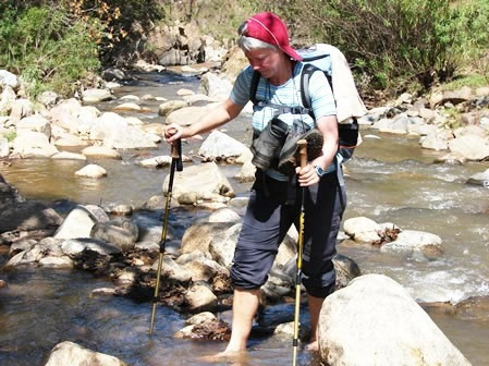 Imagen 3 de 6 de Baston De Trekking Campamento Trekking Viajes Camping