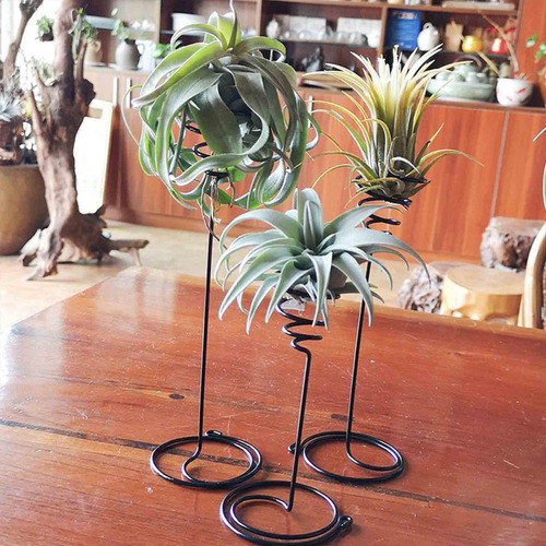 / Contenedores De Tillandsia, Estantes Para Macetas, Soporte