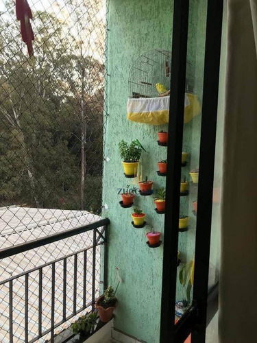 Apartamento Residencial À Venda E Locação, Vila Augusta Guarulhos. - Ap8127