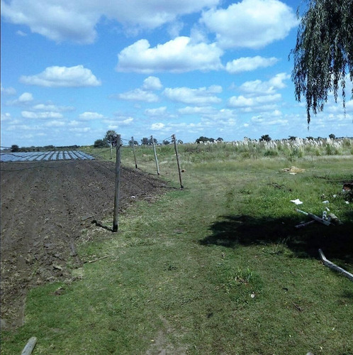 Imagen 5 de 5 de Campo 12 Ha En Capilla Del Señor, Agrícola