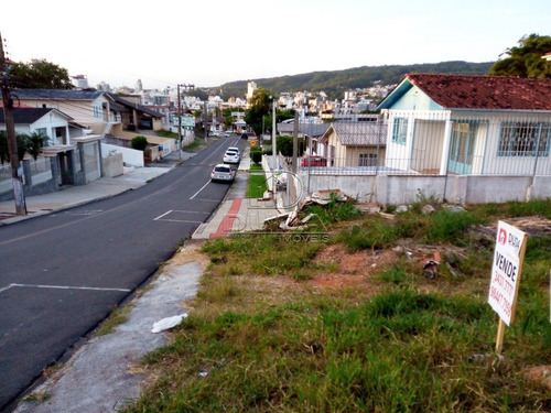 Imagem 3 de 4 de Terreno - Sao Cristovao - Ref: 32876 - V-32873