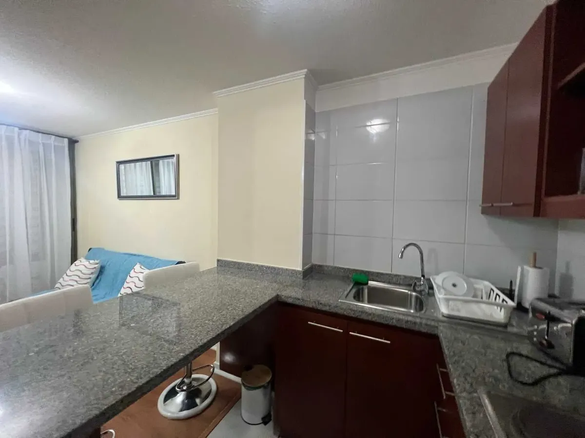 Imagen 4 de 18 de Departamento 1 Ambiente, Excelente Ubicación, (173588)