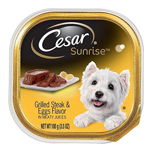 Cesar Salida Adultos Wet Dog Food