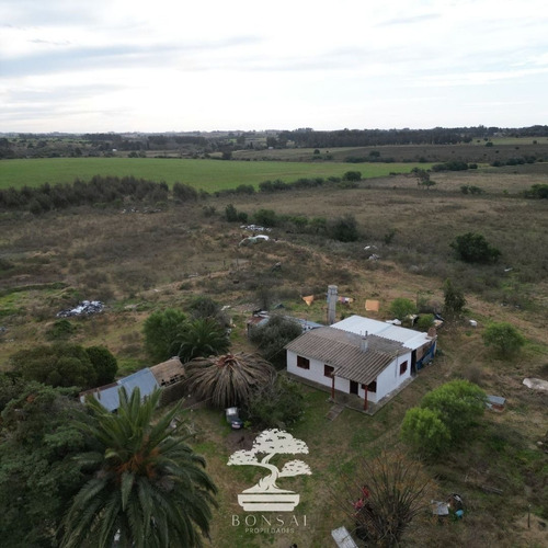 - Venta Chacra Con Casa La Macana Florida Mp.