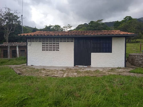 Imagen 11 de 27 de Finca La Esperanza En El Municipio San Cristobal, Estado Tachira. Vende Crismelia Castillo.
