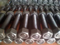 Comprar Espárragos   Petroleros     ***   B7  ***
