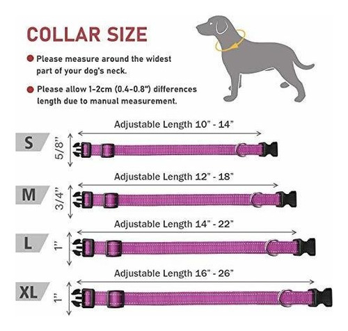 Collar Perro Mascota Transpirable Acolchado Talle Xl-purpura