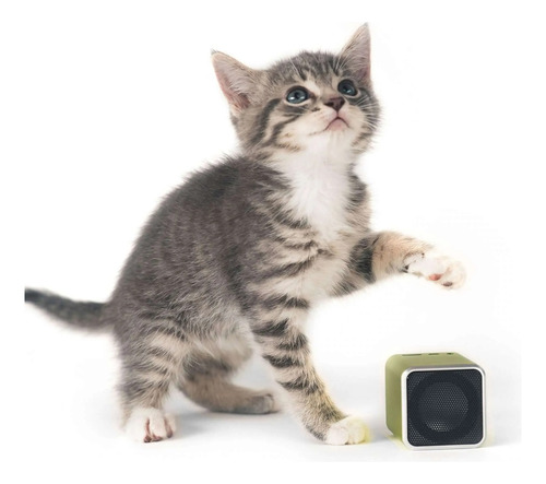 Pet Tunes Felino, Parlante Con Música Relajante Para Gato