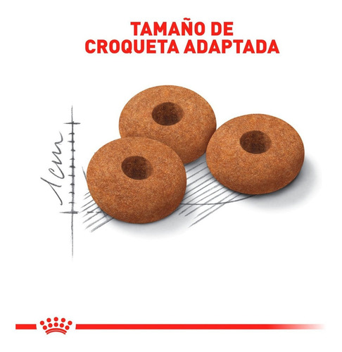Imagen 2 de 3 de Alimento Para Gato Esterilizado Royal Canin 2.7kg