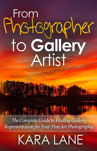 Libro: From Photographer To Gallery Artist: The Complete Gui