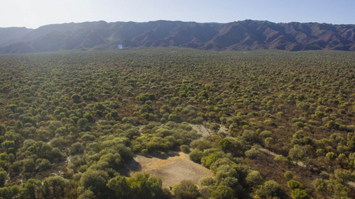 Imagen 3 de 18 de Venta De Campos En Córdoba Chancaní Campo Ganadero