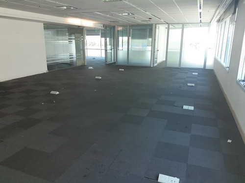 Imagen 6 de 8 de Oficina En Alquiler | Edificio Proa | 1 Piso De 557 M²