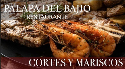 Imagen 11 de 27 de Salón Palapa Para Fiestas Y Reuniones, Cerca De Puerto Inter