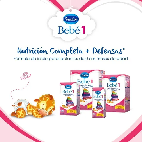 Sancor Bebe 1 Leche Infantil En Polvo Pack 6 Cajas X800gr Ecomodico Sancor Bebe 1 Leche Infantil En Polvo Pack 6 Cajas X800gr Ecomodico