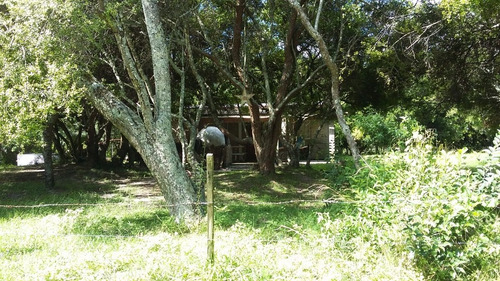 Imagen 6 de 10 de Casa Quinta En Venta En Punta Indio - Dentro De La Reserva Natural Biosfera