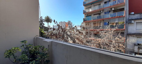 Imagen 3 de 19 de Luminoso Ph De 6 Ambientes Con Terraza Y Parrilla ! - Saavedra