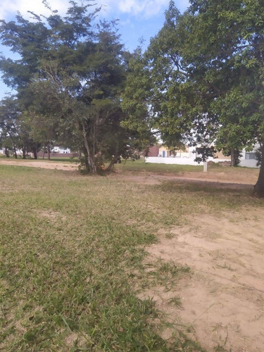 Imagem 6 de 7 de Terreno De Esquina Próximo Ao Clube Sabiás Ninho Verde 2 - 87