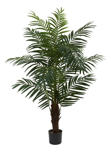 5416 5 Pies. Palmera Areca, Verde, 42 X 11 X 11