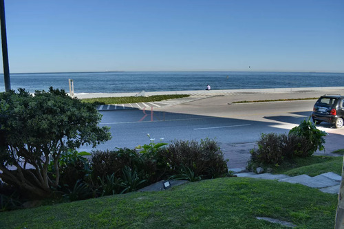 Apto. Frente Al Mar Con Jardin Y Acceso Directo , Como Si Fuera Una Casita 